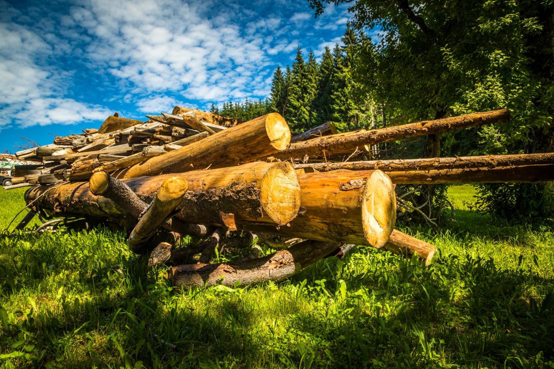Willa Erbhof Hinterrain Leogang Zewnętrze zdjęcie
